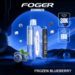 Frozen Blueberry – Foger Switch Pro Kit 30K Puffs